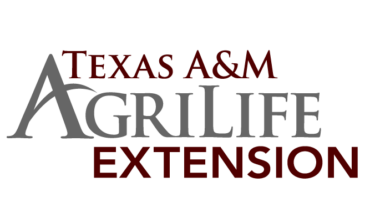 Texas A&M AgriLife Extension logo (color)